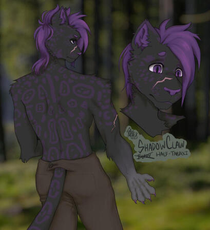 $40 (Body+Headshot+Light Shading)